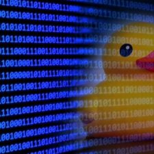 استمرار تکامل Lemon Duck